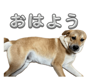 879327232