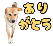 879327234