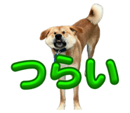 879327237