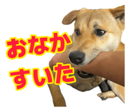 879327238