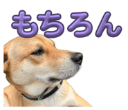 879327240