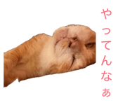 879327608