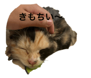 879328040