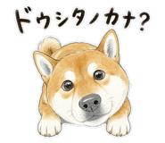 879333277