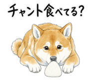 879333281