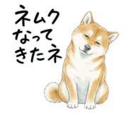 879333299