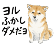 879333300