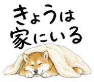 879333609
