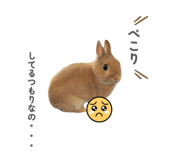 879336946