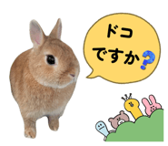 879336952