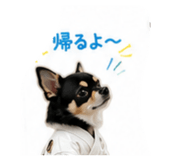879352525