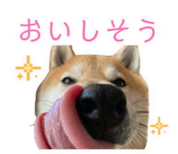 879354998