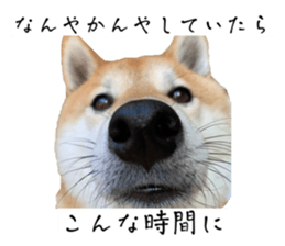 879355001