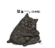 879355335