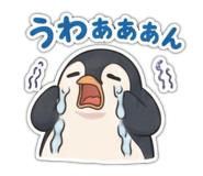 879372255