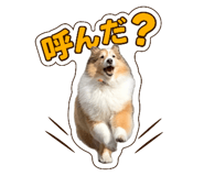 879374730