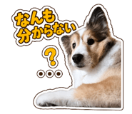 879374731