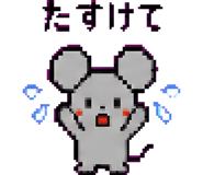 879376884