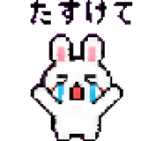 879377068