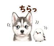 879381424