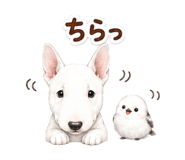 879386096