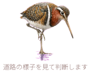 879391501