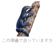 879391602
