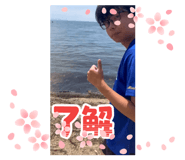 879397115