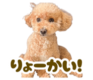 879398086