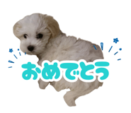 879398104