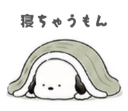 879401237
