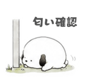 879401248
