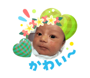 879402651