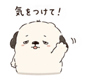 879404246