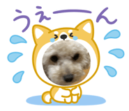 879404938