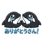 879409028