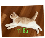879418394