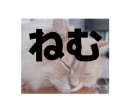 879424770