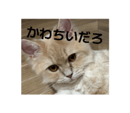 879424775