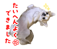 879440545