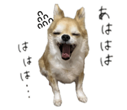 879440558