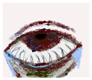 879440764