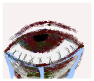 879440765
