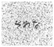 879440901