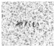879440913