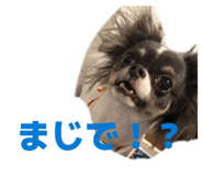 879447504