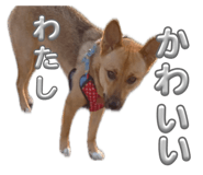 879453665