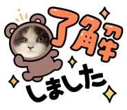 879454995
