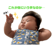 879456646