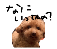 879456917